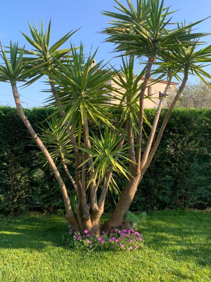 Villa Elimia Antibes Esterno foto